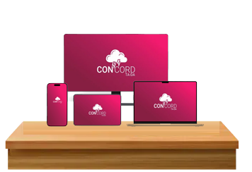 Concord ERP screenshot